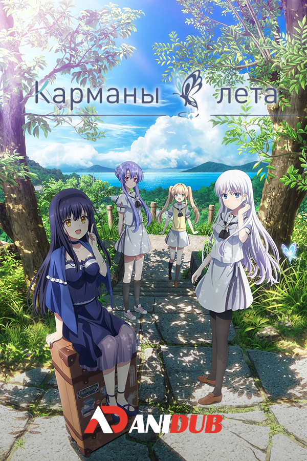 Карманы лета